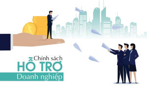 Tây Ninh hỗ trợ doanh nghiệp nhỏ và vừa phát triển bền vững